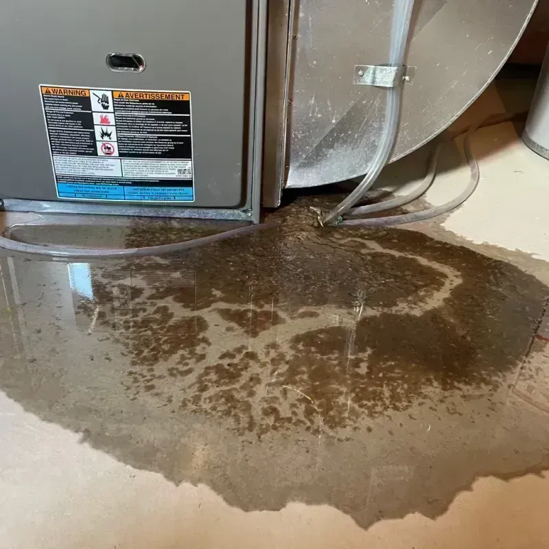 Appliance Leak Cleanup in Wood River, IL